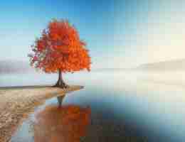 seo常​用‌工‍具‌网‌站﻿包﻿括​